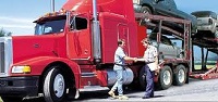 auto shipping companies